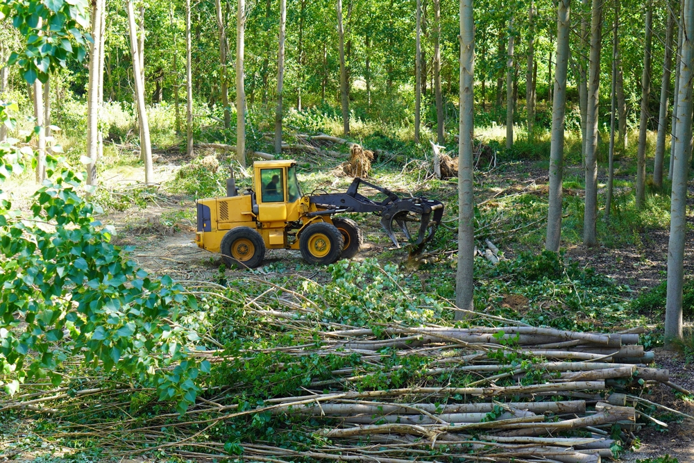 ホイールローダーのアタッチメント:クランプ・グラップル